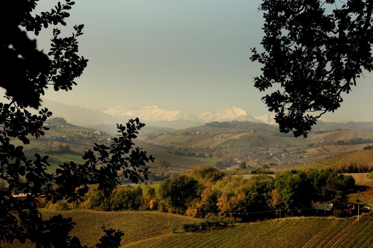 La Casa In Campagna Bed and Breakfast Cossignano Εξωτερικό φωτογραφία