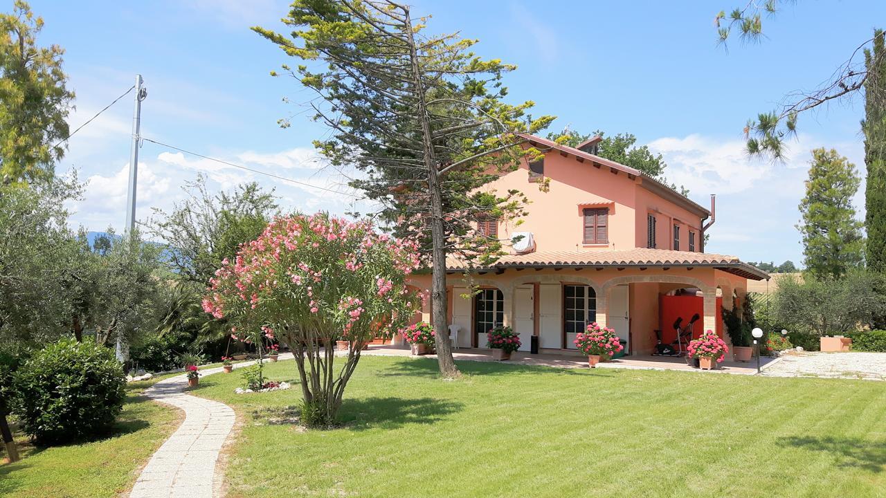 La Casa In Campagna Bed and Breakfast Cossignano Εξωτερικό φωτογραφία