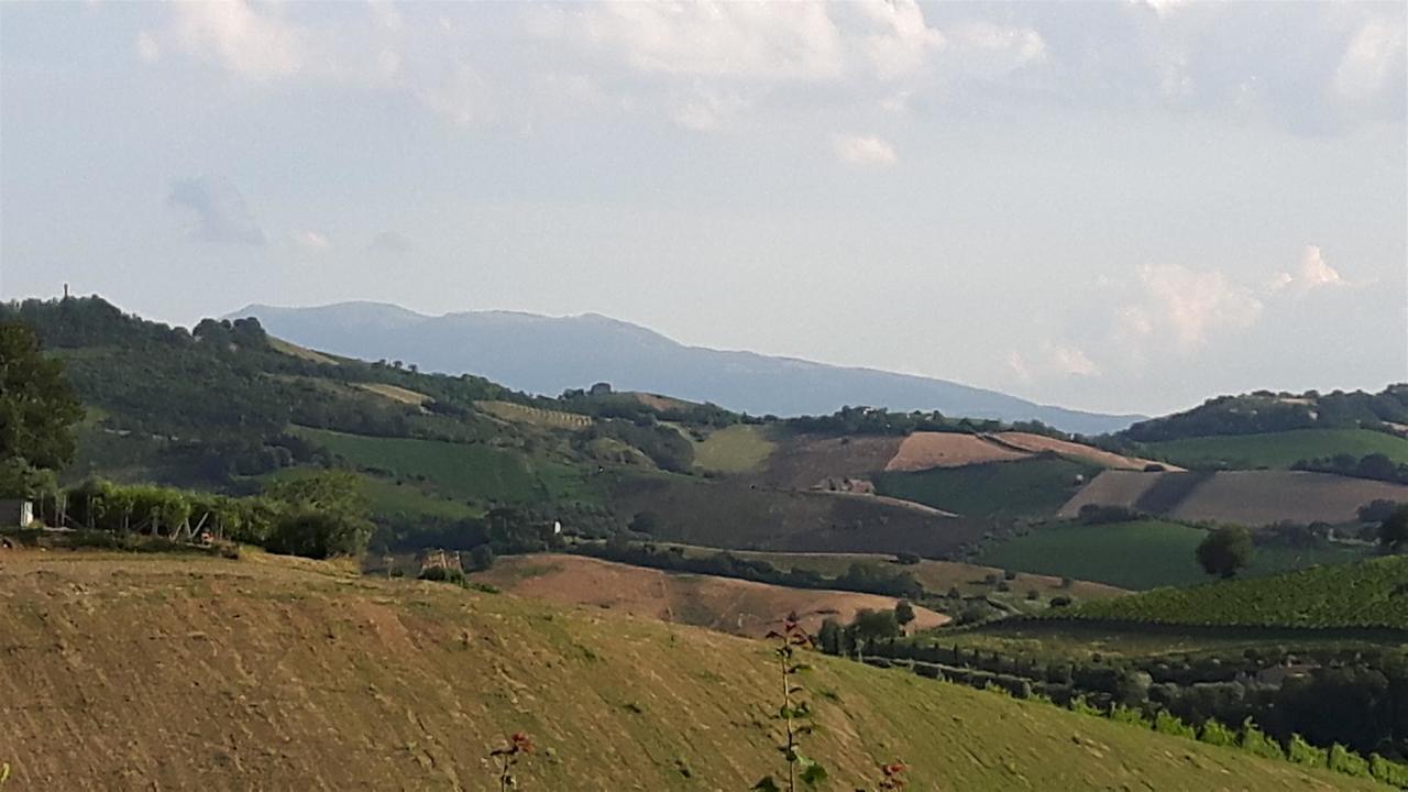 La Casa In Campagna Bed and Breakfast Cossignano Εξωτερικό φωτογραφία