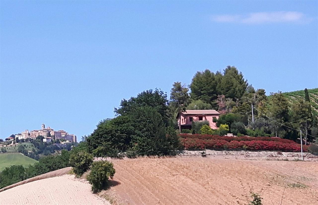 La Casa In Campagna Bed and Breakfast Cossignano Εξωτερικό φωτογραφία