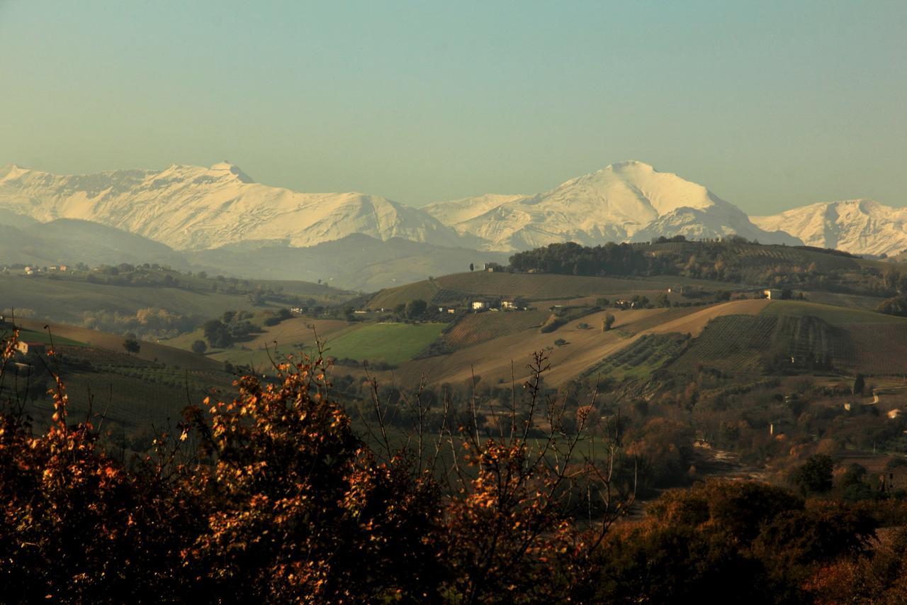 La Casa In Campagna Bed and Breakfast Cossignano Εξωτερικό φωτογραφία