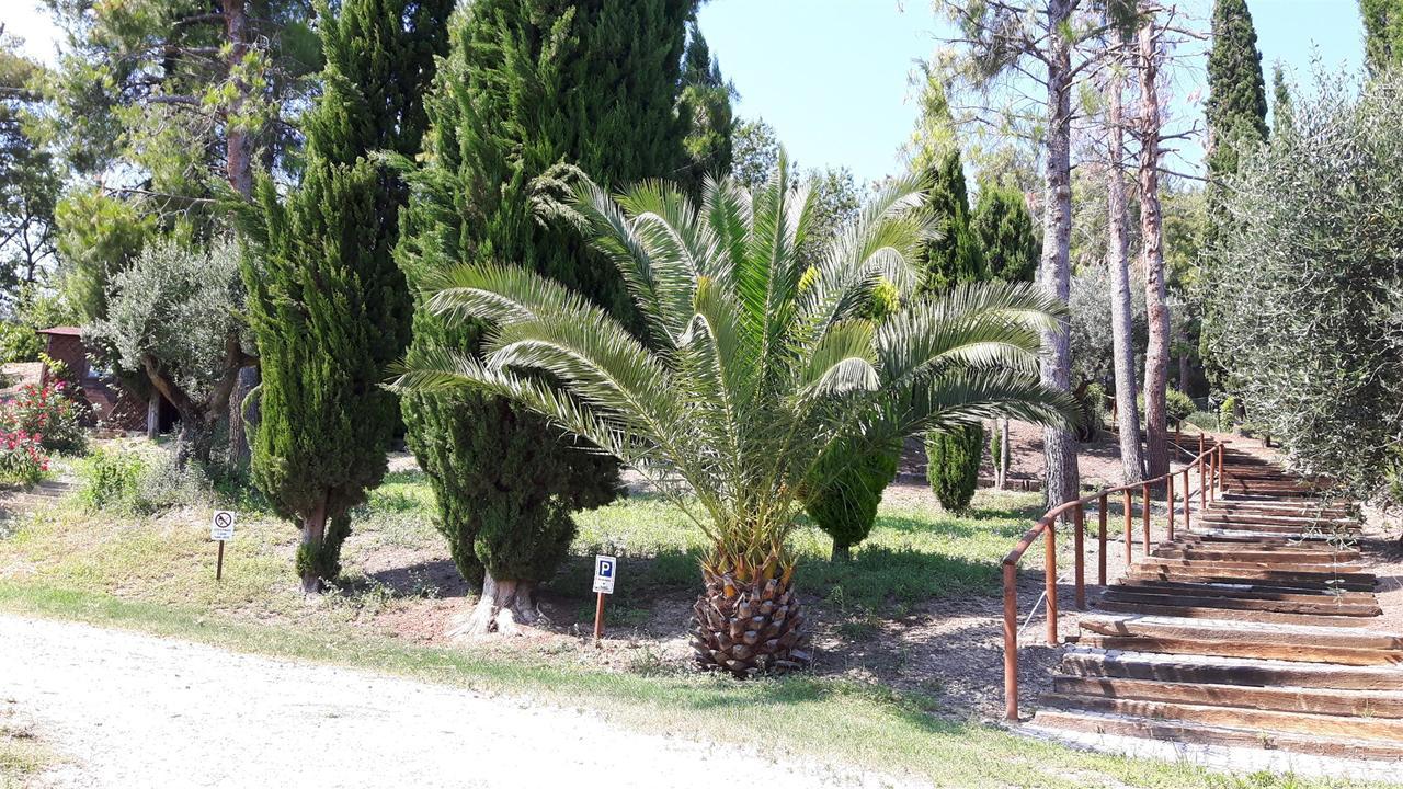 La Casa In Campagna Bed and Breakfast Cossignano Εξωτερικό φωτογραφία