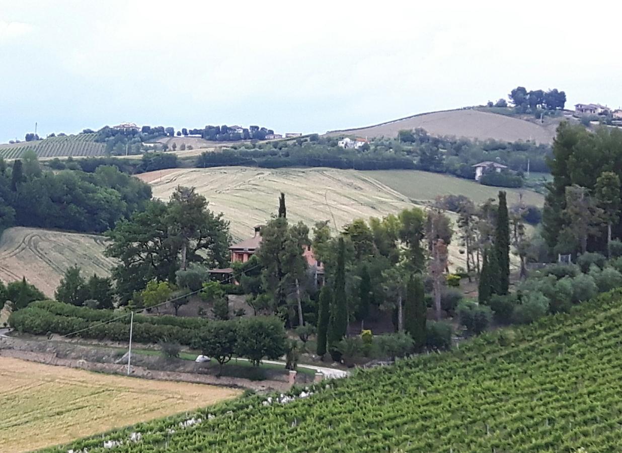 La Casa In Campagna Bed and Breakfast Cossignano Εξωτερικό φωτογραφία