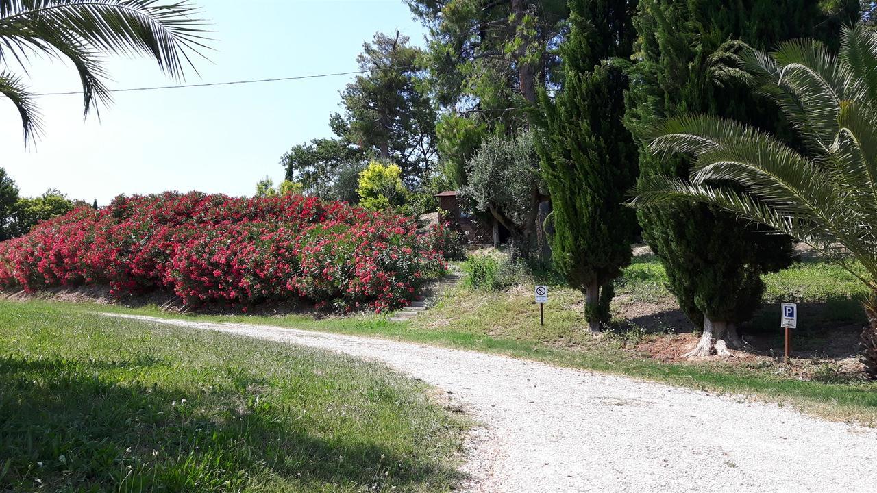 La Casa In Campagna Bed and Breakfast Cossignano Εξωτερικό φωτογραφία